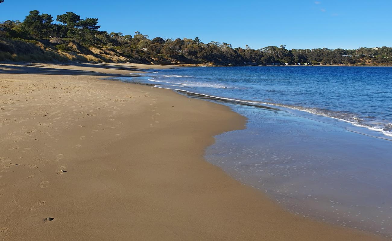 Foto af Blue Lagoon Beach med lys sand overflade