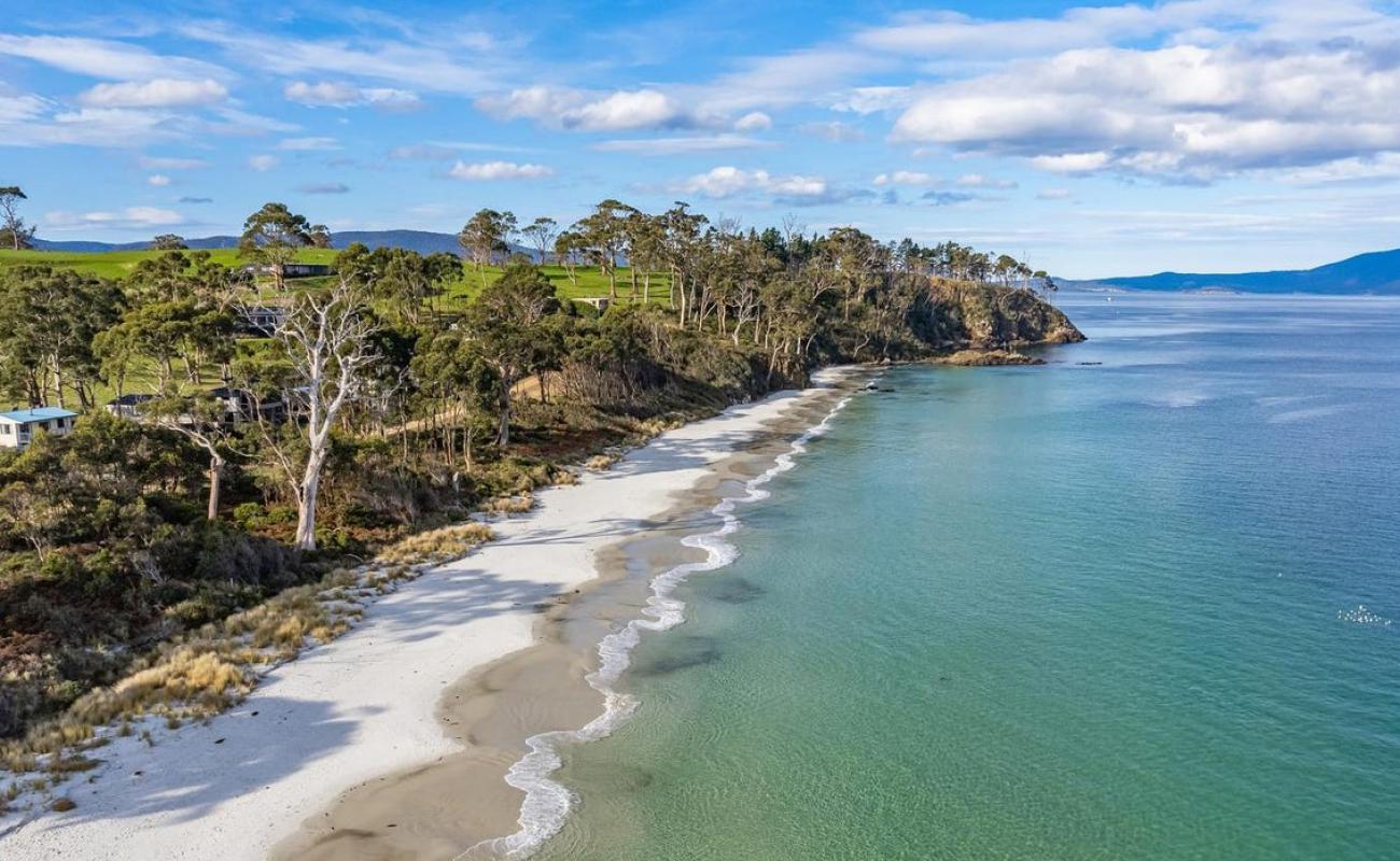 Foto af Little Roaring Bay Beach med lys sand overflade