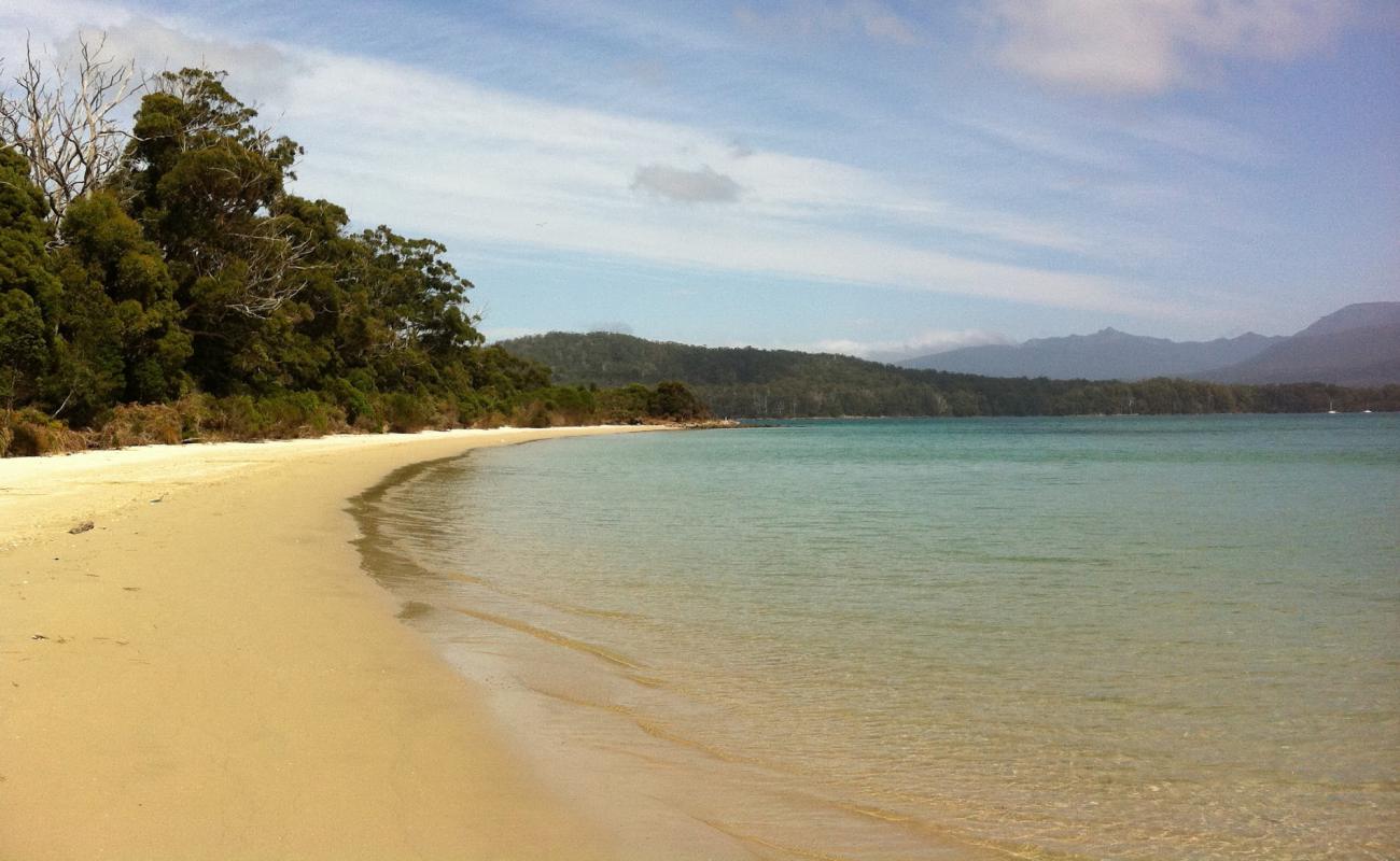 Foto af Planter Beach med lys sand overflade