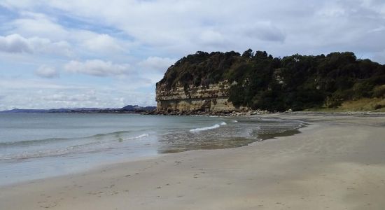 Fossil Bluff Beach