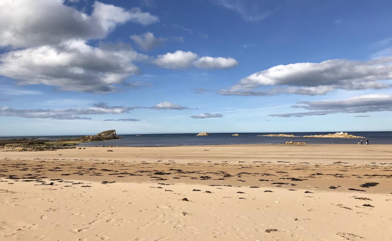 Foto af Picnic Point Beach med lys sand overflade