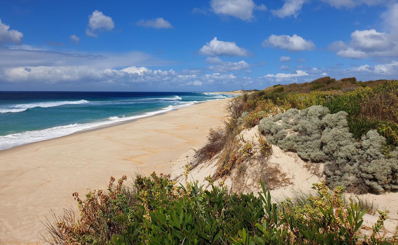 Foto af Lavinia Beach med lys sand overflade