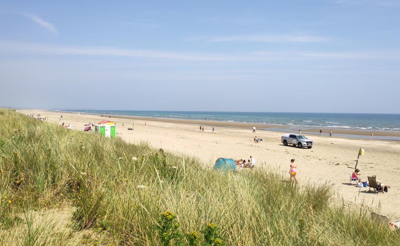 Foto af Bettystown Beach med lys sand overflade