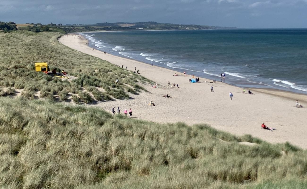 Foto af Curracloe Beach med lys sand overflade