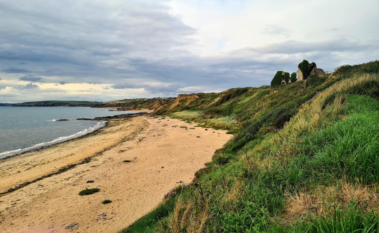 Foto af Boyce's Bay Beach med lys sand overflade