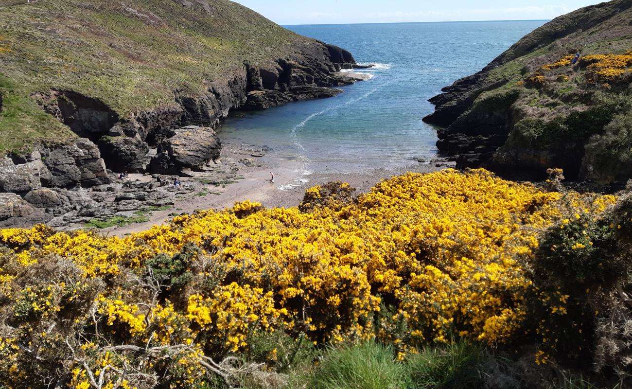 Foto af Portally Cove Beach med lyst sand & sten overflade