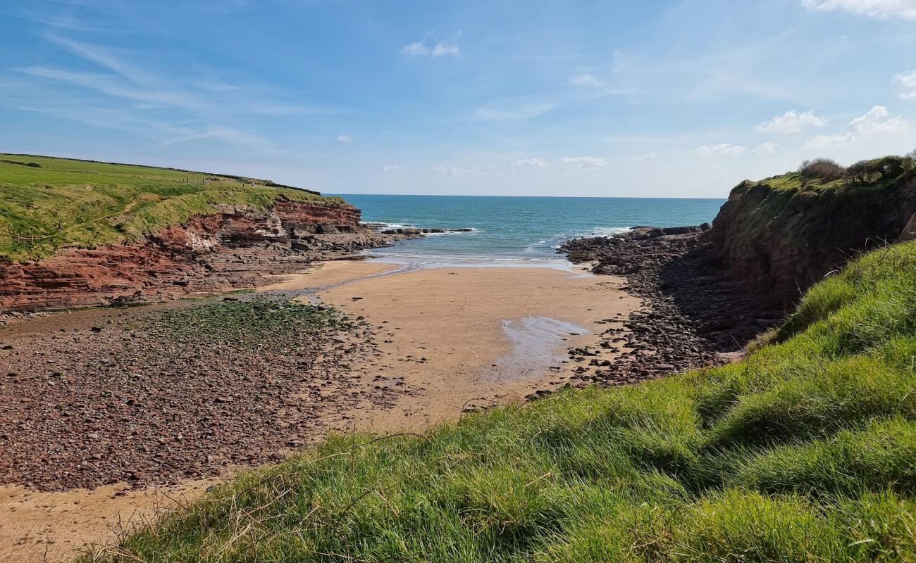 Foto af Rathmoylan Cove Beach med let sand og småsten overflade