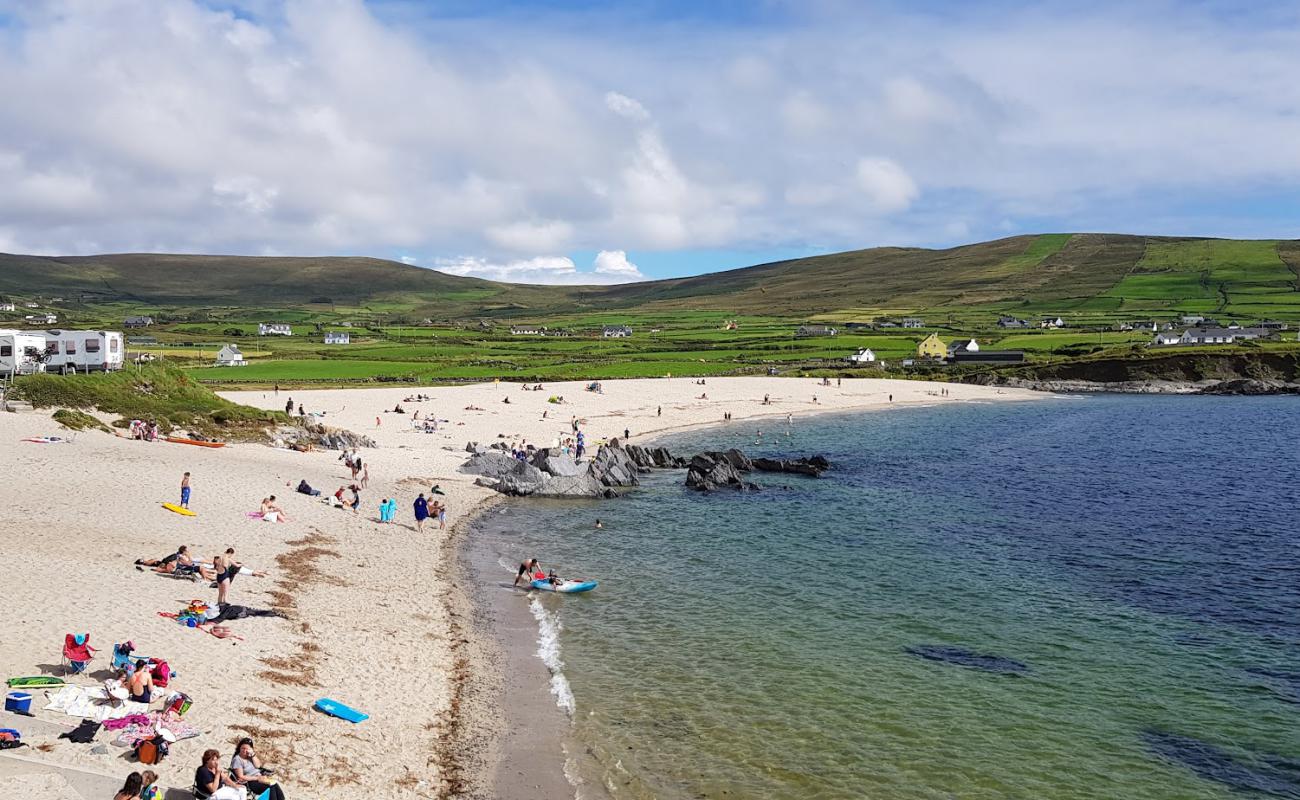 Foto af Ballydonegan Beach med lys sand overflade