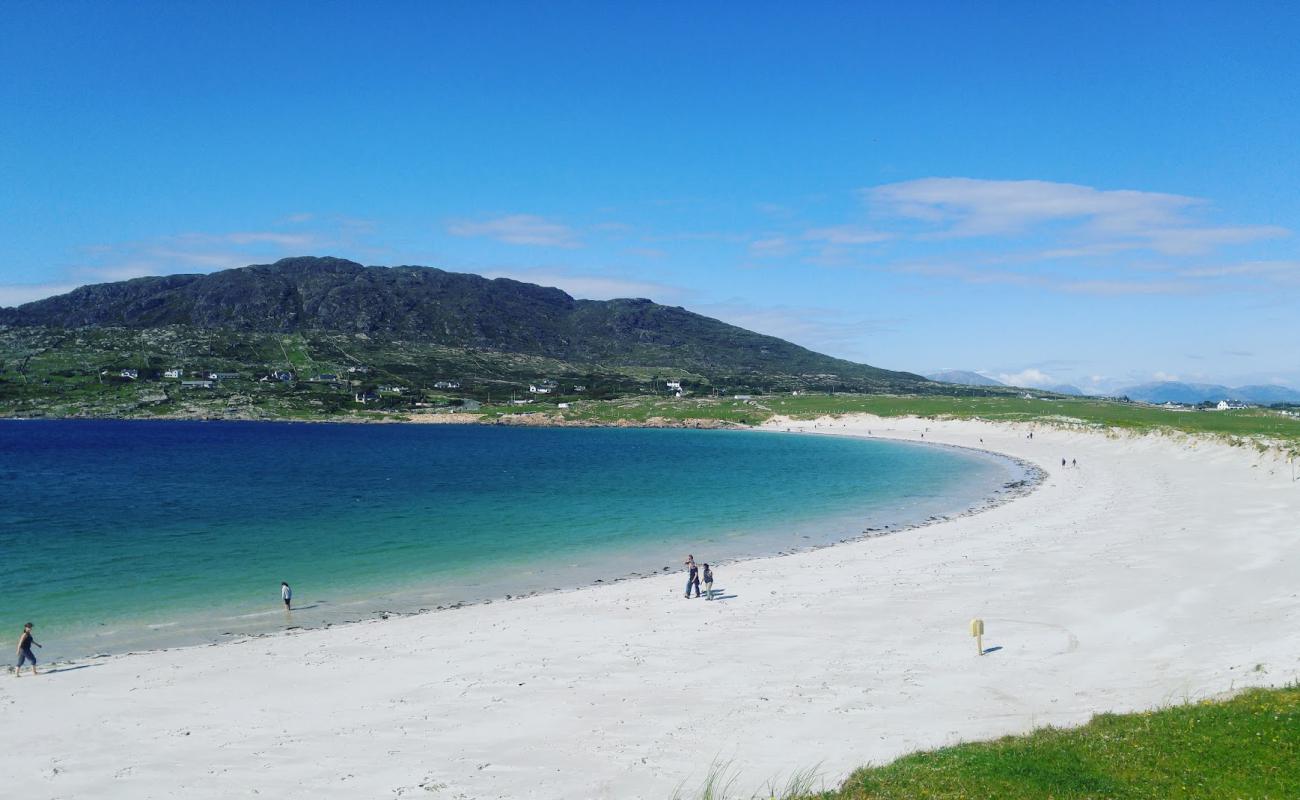 Foto af Dogs Bay Beach med hvidt fint sand overflade