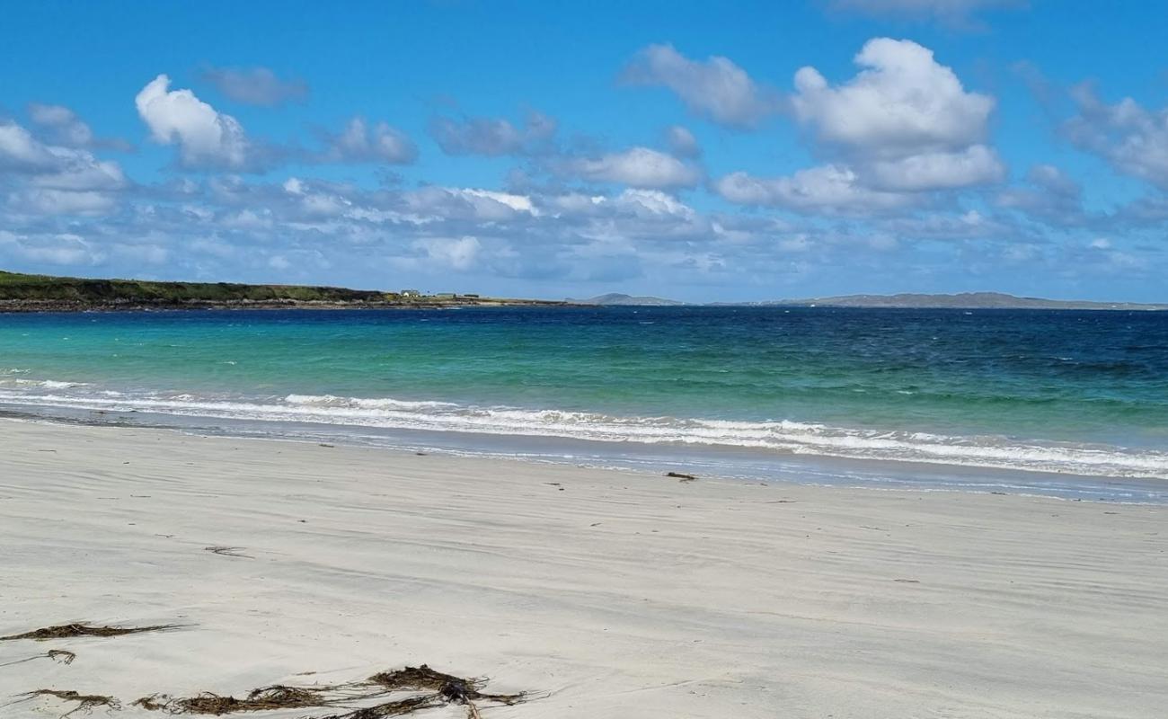 Foto af Selerna Beach med lys sand overflade