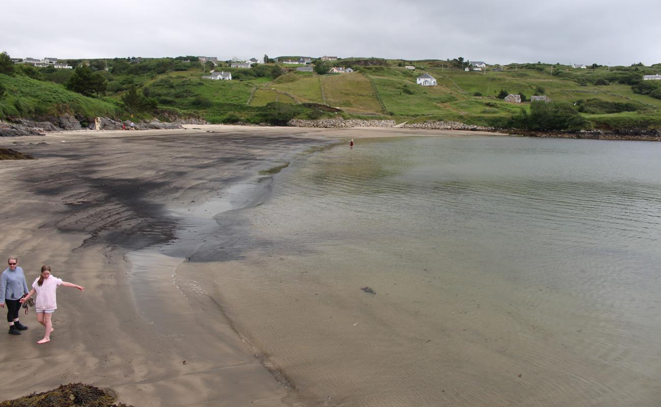 Foto af Portacowley Beach med lys sand overflade