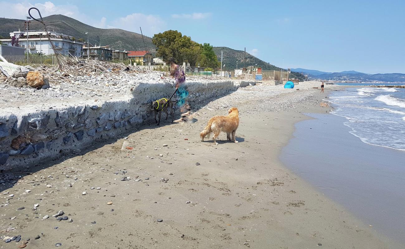 Foto af Ceriale dog beach med sort sand og småsten overflade