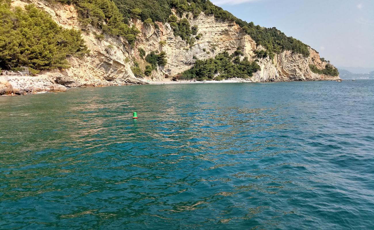 Foto af Pozzale beach med sten overflade