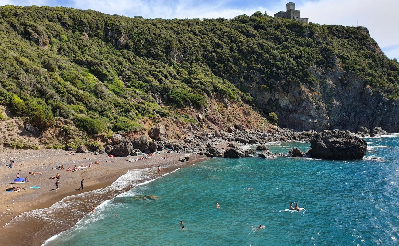 Foto af Cala del Leone med grå fin sten overflade