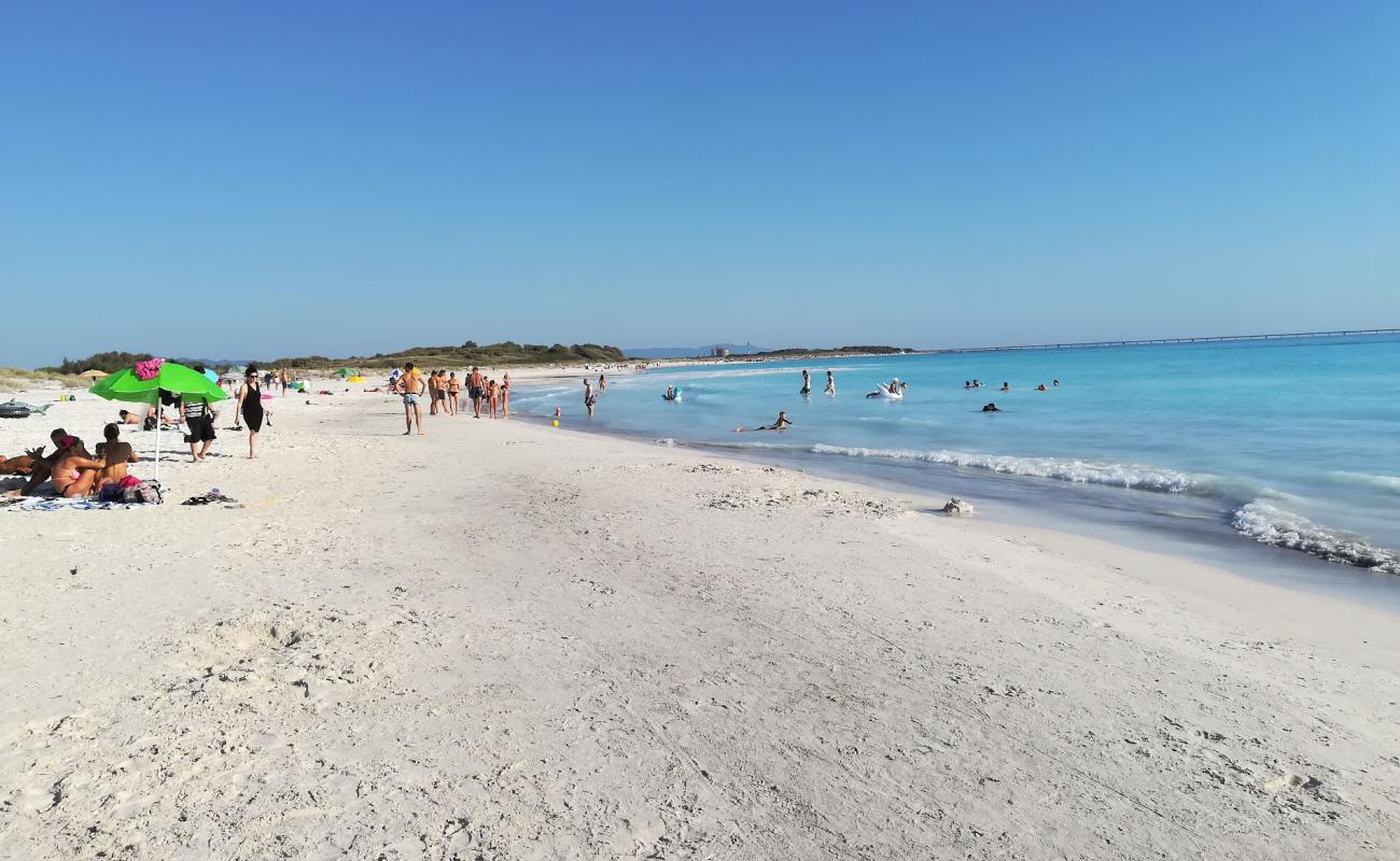 Foto af Rosignano Solvay spiaggia bianche med lys fint sand overflade