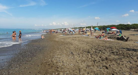 Spiaggia di Marina di Bibbona