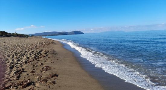 Spiaggia di Rimigliano II