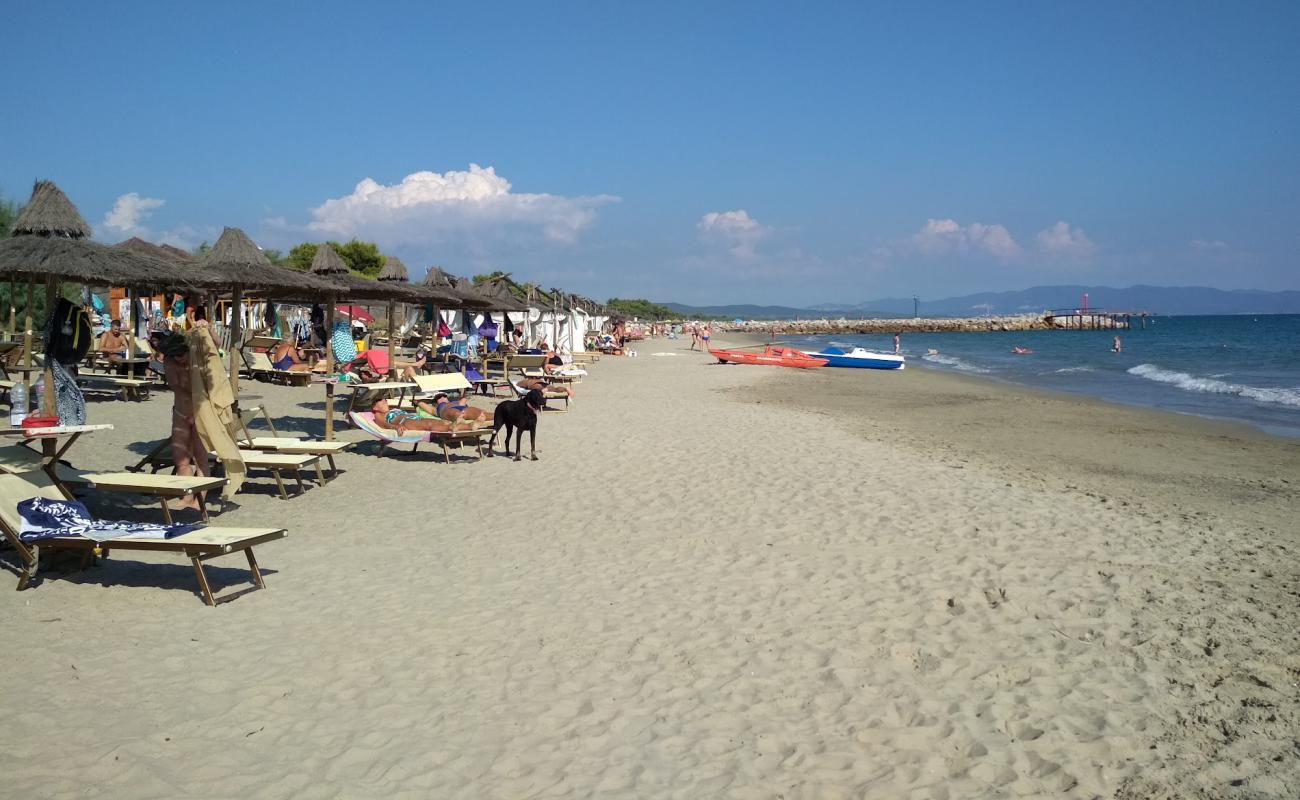 Foto af Carbonifera dog beach med brunt sand overflade