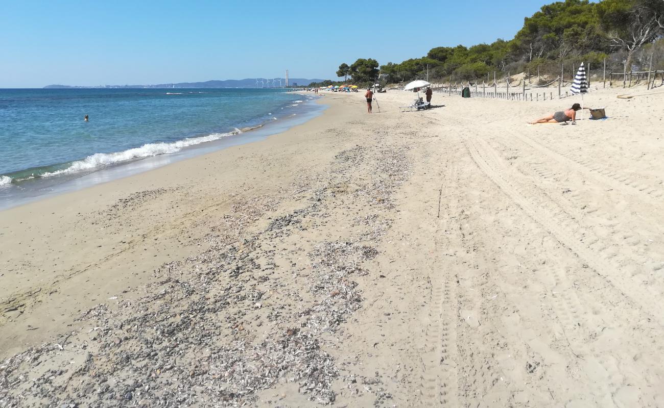 Foto af Carbonifera Strand med brunt sand overflade