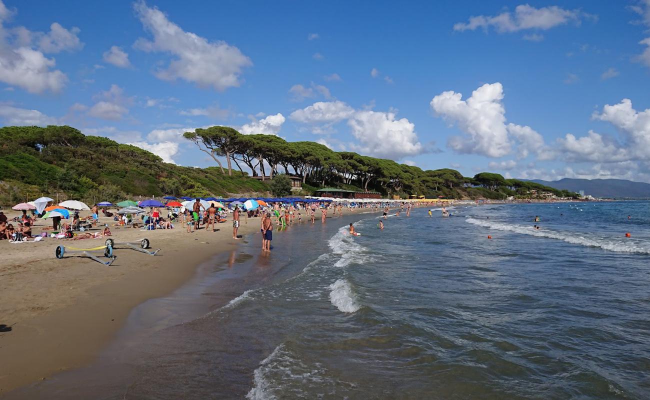 Foto af Follonica Strand med brunt sand overflade