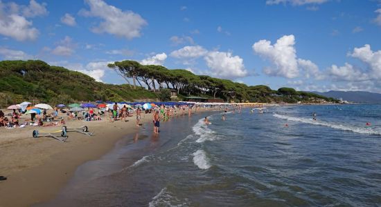 Follonica Strand