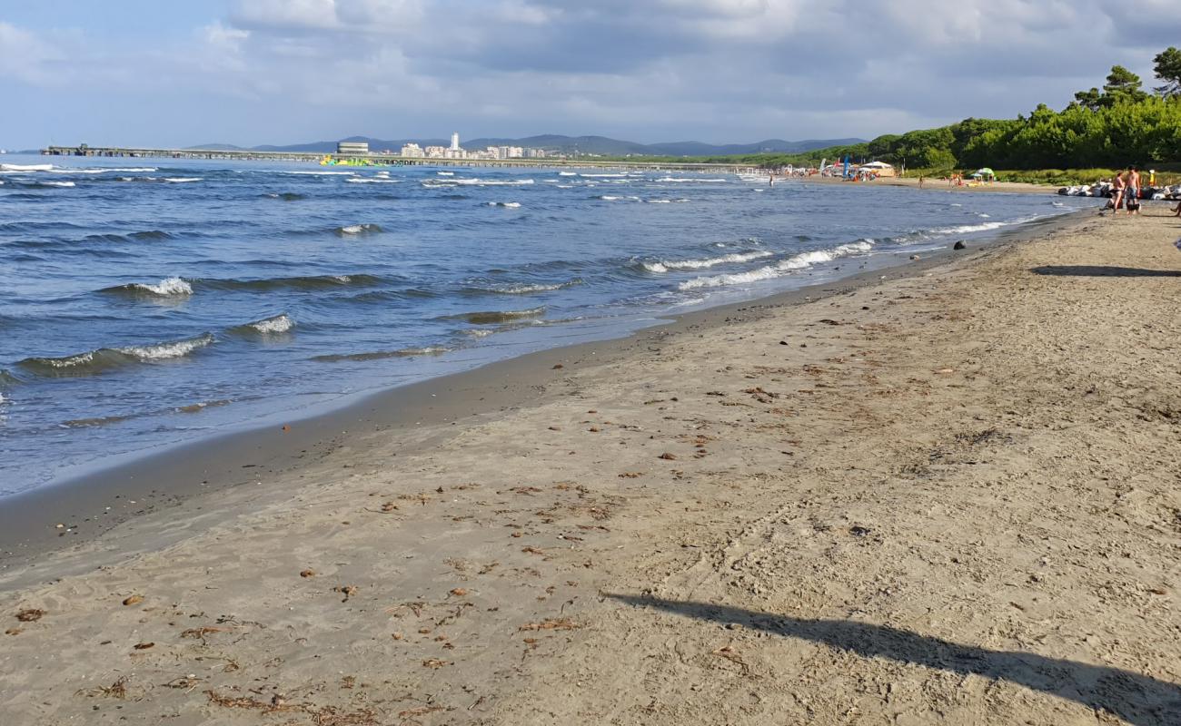 Foto af Puntone di Scarlino med brunt sand overflade