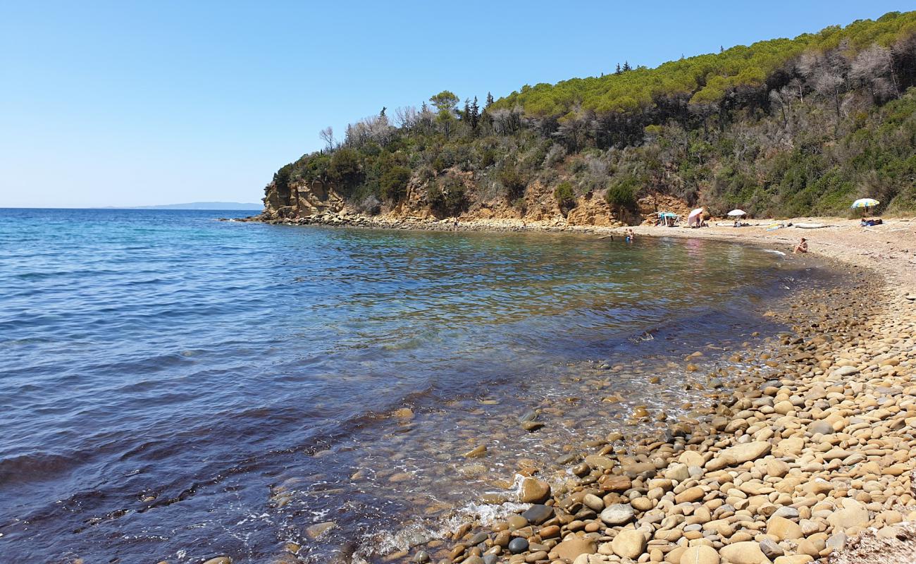 Foto af Cala Martina med sten overflade