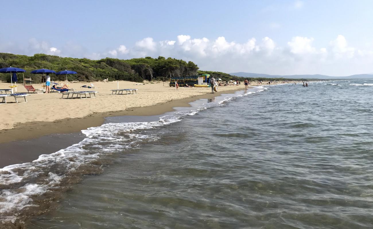 Foto af Spiaggia della Feniglia med brunt sand overflade