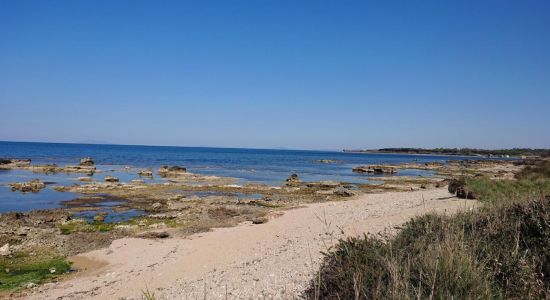 Tsunami Beach