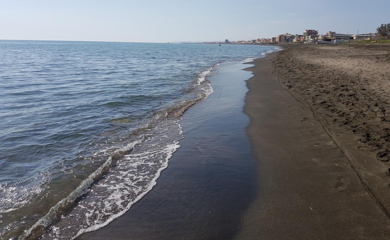 Foto af Bau Beach Ladispoli med brunt sand overflade