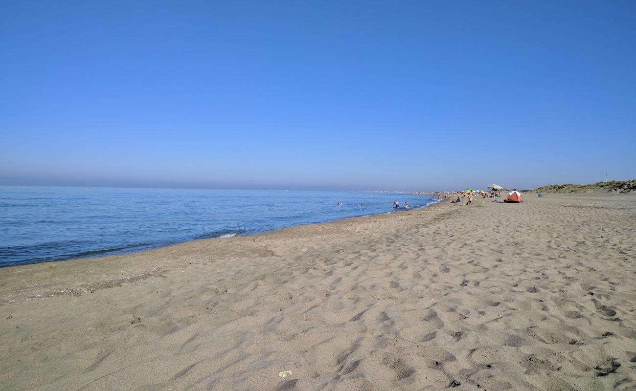 Foto af Castel Porziano beach med brunt sand overflade