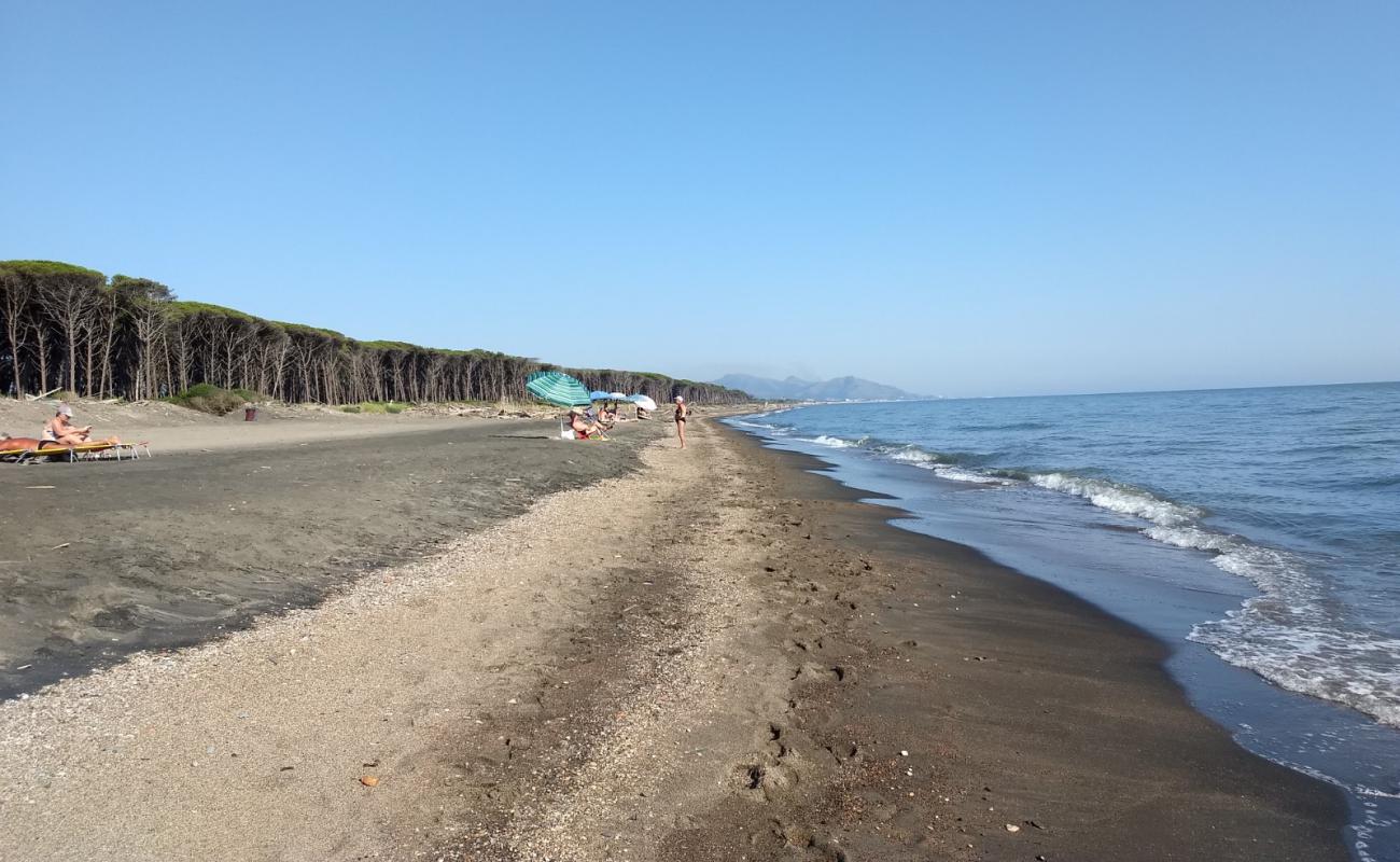 Foto af Camping La Foce beach med brunt sand overflade