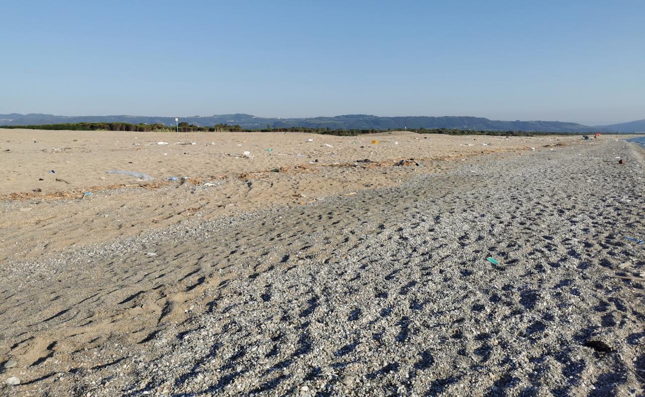 Foto af Maida Marina beach med grå sand overflade