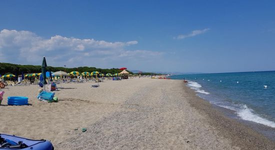 Salicetti Strand