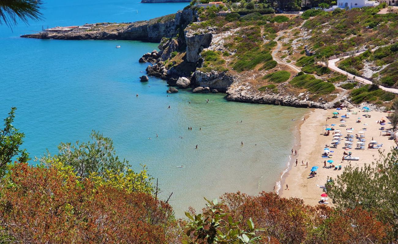 Foto af Spiaggia di Procinisco med fin brunt sand overflade