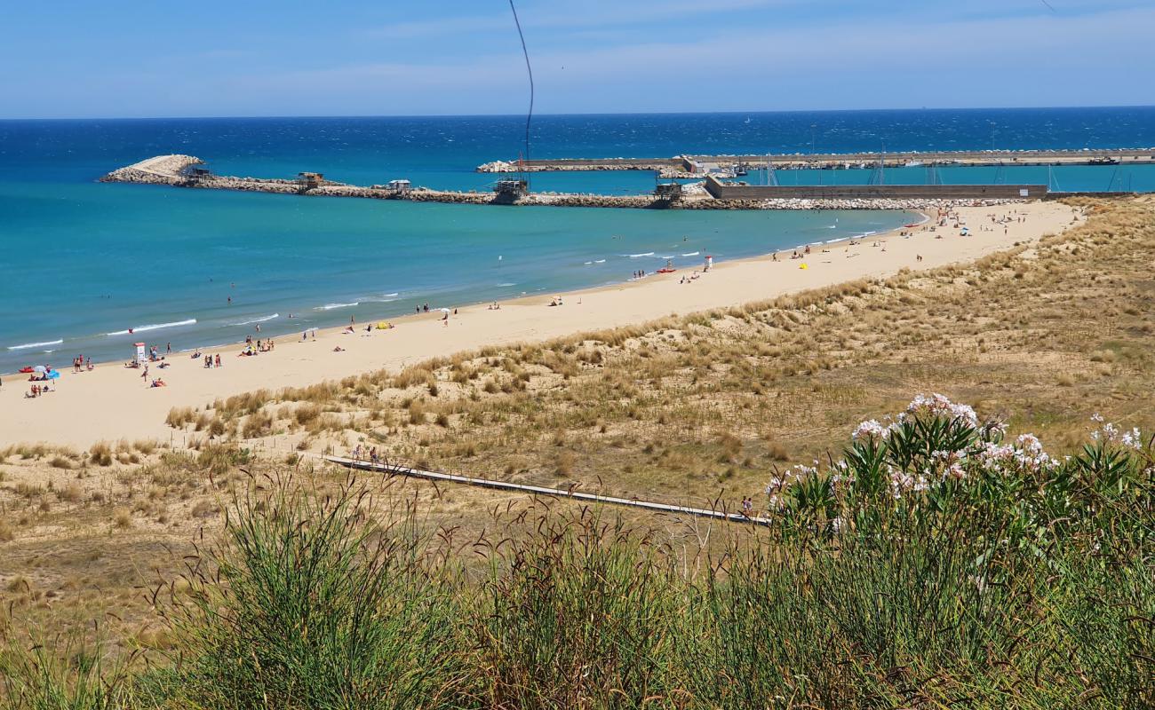 Foto af Spiaggia di Punta Penna med fin brunt sand overflade