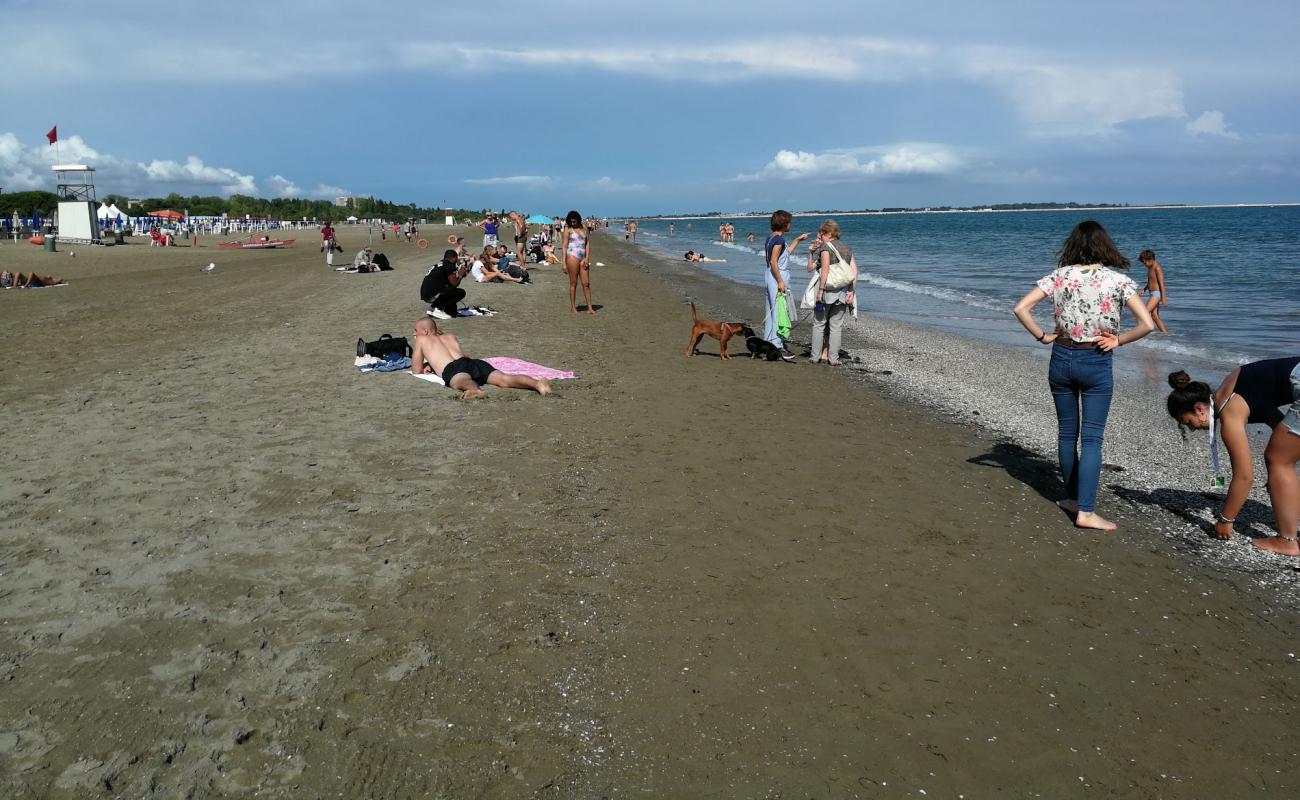 Foto af Venice beach med lys sand overflade