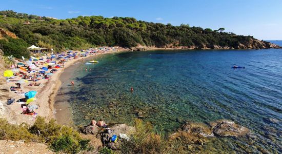 Spiaggia Di Barabarca