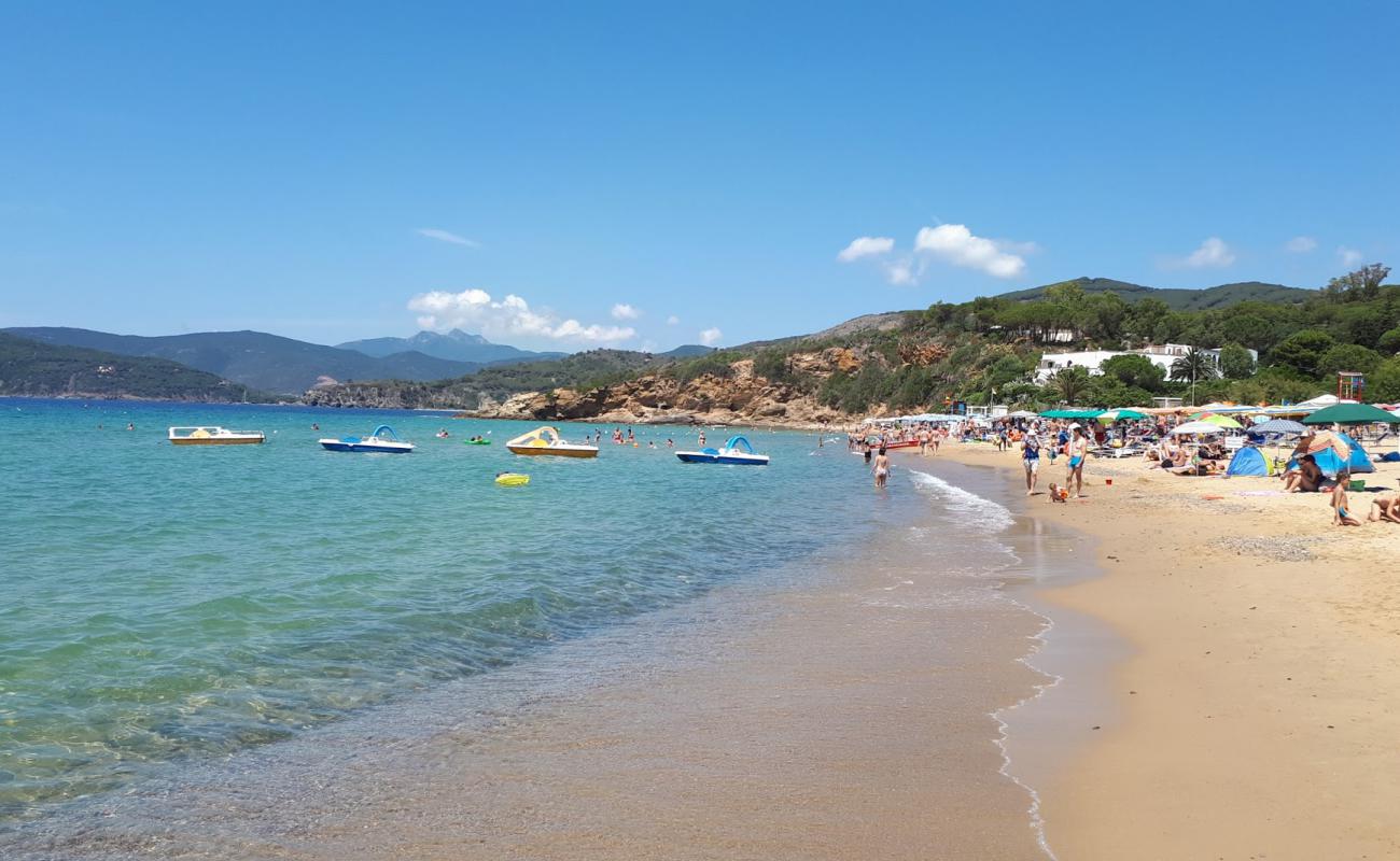 Foto af Lido di Capoliveri med lys sand overflade