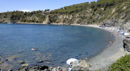 Spiaggia Di Acquarilli