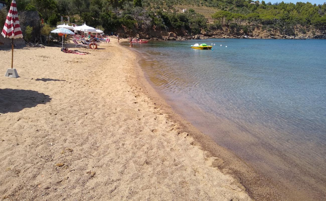 Foto af Spiaggia di Galenzana med let fin sten overflade