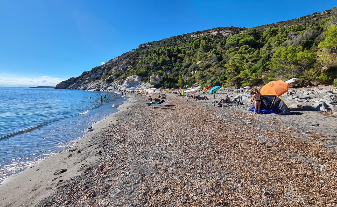 Foto af Palombaia Beach med grå sten overflade