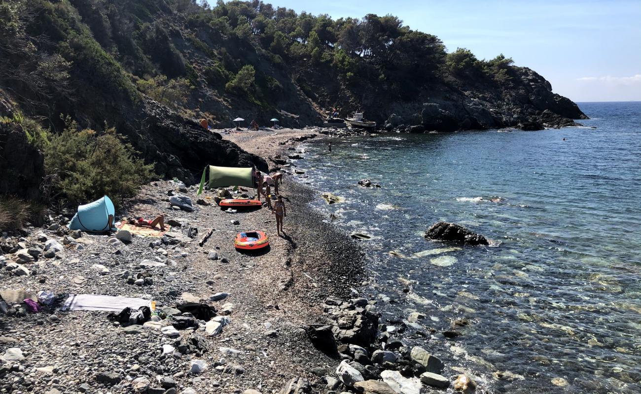 Foto af Spiaggia dell'Ogliera med let sten overflade