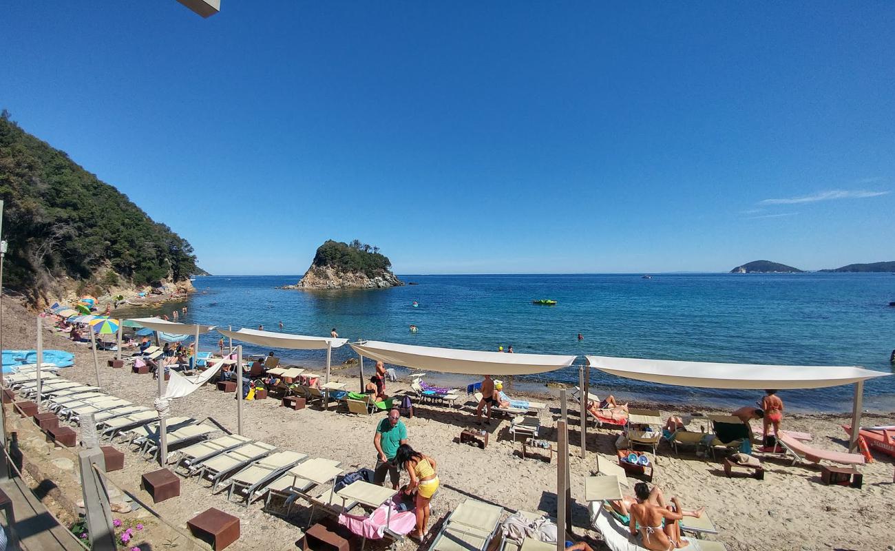 Foto af Spiaggia della Paolina med let sten overflade