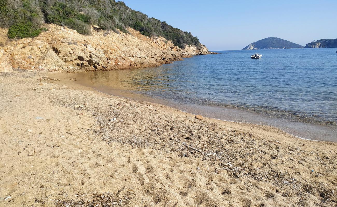 Foto af Spiaggetta del Porticciolo med let fin sten overflade