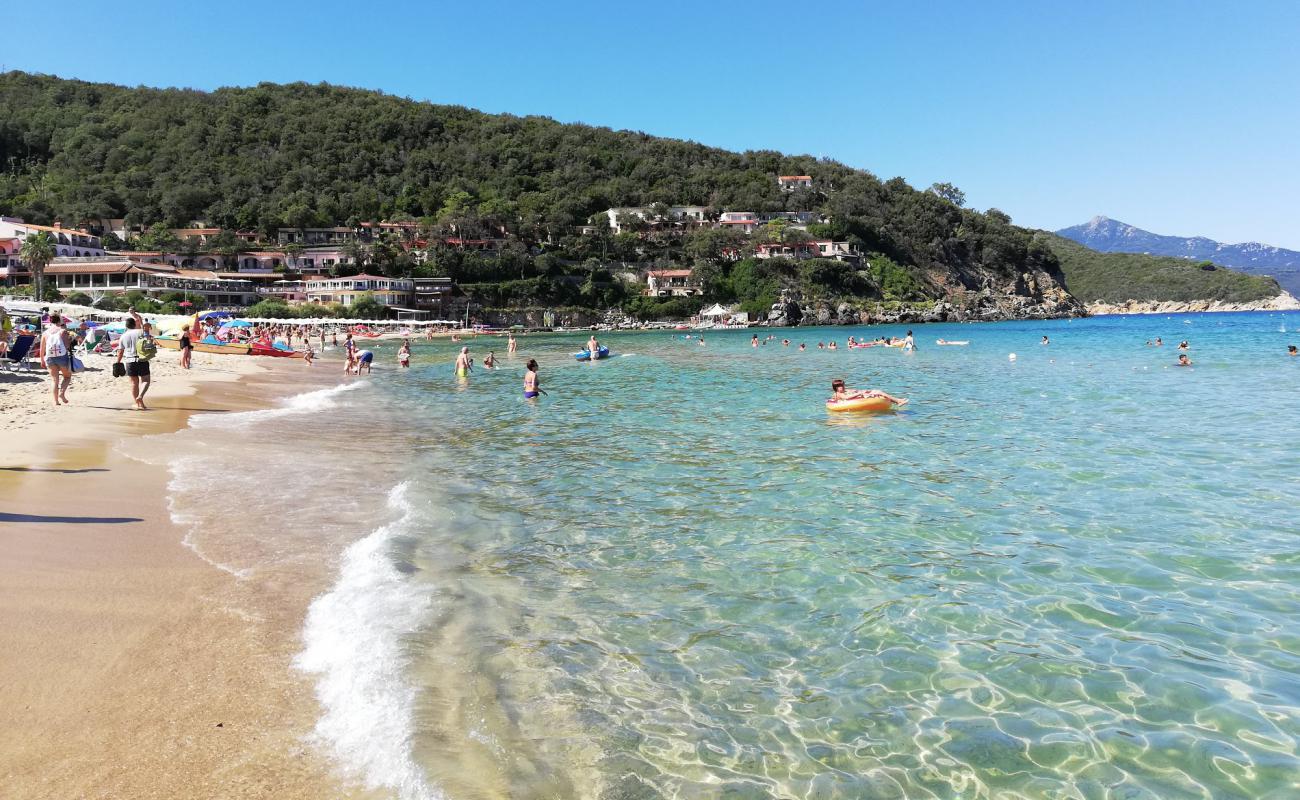 Foto af Biodola Strand med lys fint sand overflade