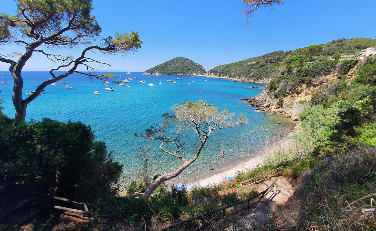 Foto af Spiaggia del Viticcio med grå sten overflade