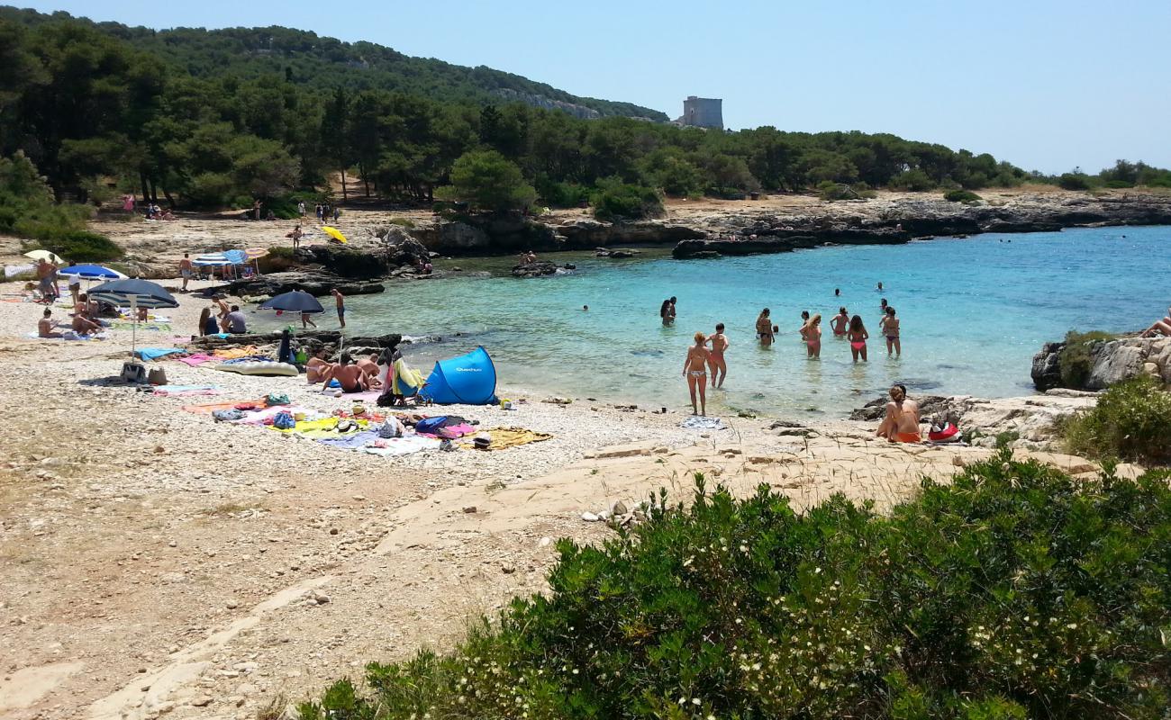 Foto af Spiaggia di Porto Selvaggio med sten overflade