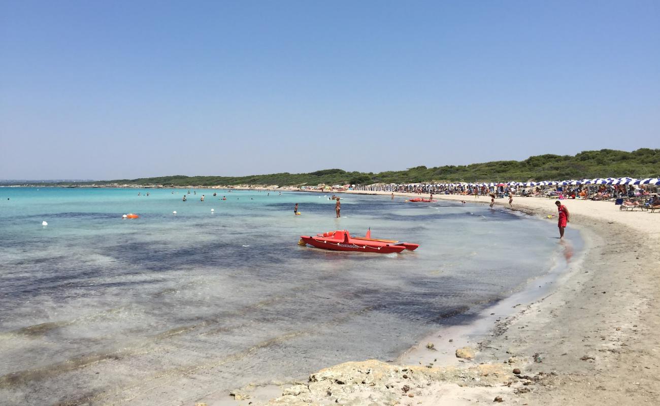 Foto af Punta Pizzo Strand med lys sand overflade