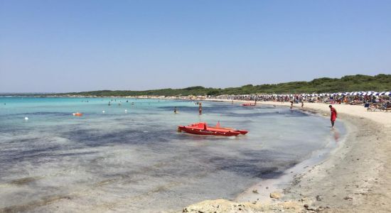 Punta Pizzo Strand